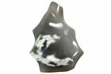 Polished Orca Agate Flame - Madagascar #219309-1